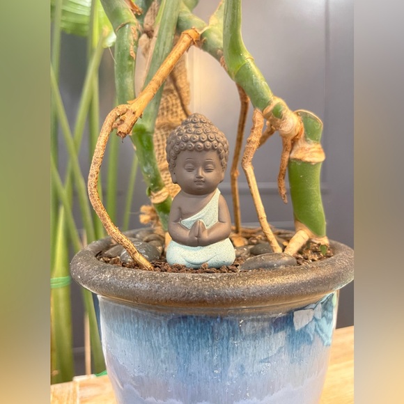 Little Buddha Meditating - Picture 3 of 5